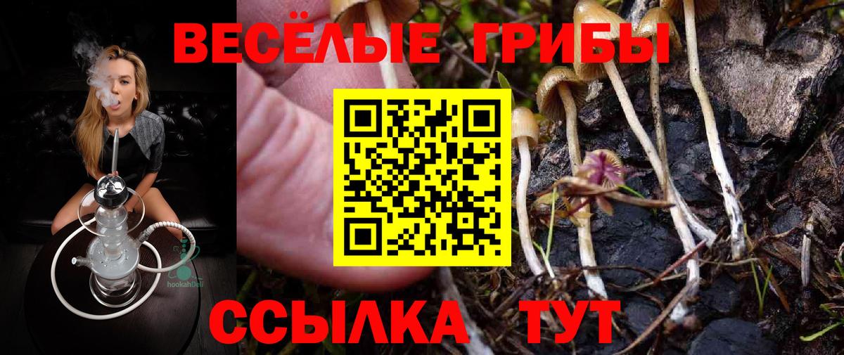 Галлюциногенные грибы ЛСД  Вход с VPN  Галлюциногенные грибы Cubensis  Алексин 